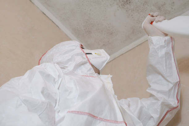 Best Commercial Mold Removal  in Horicon, WI