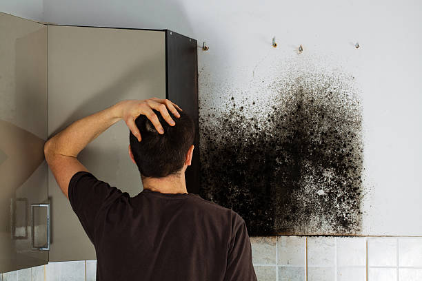 Best Residential Mold Removal  in Horicon, WI